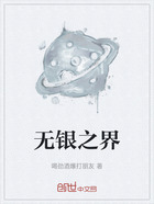 无银之界在线阅读