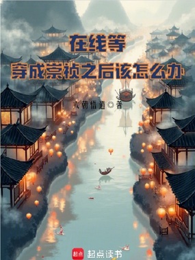 在线等，穿成崇祯之后该怎么办在线阅读