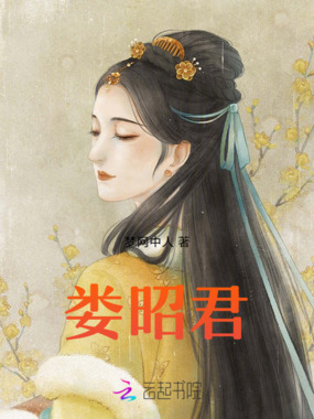 娄昭君在线阅读