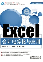 Excel会计电算化与应用