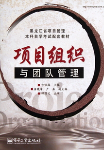 項目組織與團隊管理
