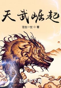 天武崛起