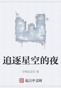 追逐星空的夜