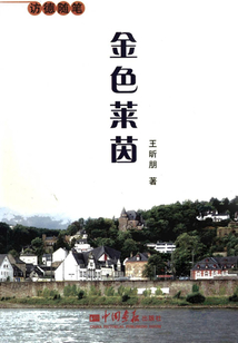 金色萊茵：訪德隨筆