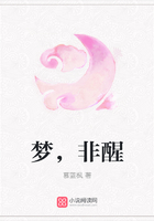 梦,非醒在线阅读