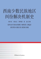 西南少数民族地区纠纷解决机制史在线阅读