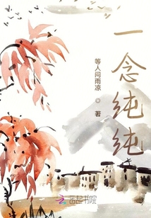 一念純純