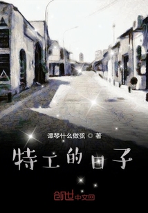 特工的日子