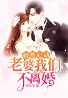 婚然心动：老婆，我们不离婚在线阅读