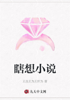 瞎想小说在线阅读