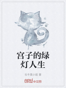 宫子的绿灯人生