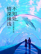 情深缘浅不知处在线阅读
