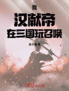 我,刘辩,在三国玩召唤在线阅读