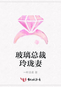 玻璃總裁玲瓏妻