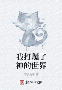 我打爆了神的世界
