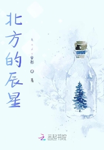 北方的辰星