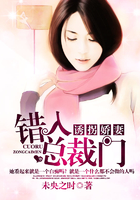 誘拐嬌妻：錯入總裁門在線閱讀