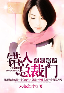 誘拐嬌妻：錯入總裁門