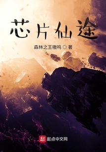 芯片仙途