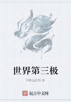 世界第三极