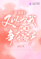 哥哥们又以为我回来争夺家产