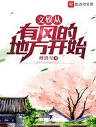 文娛從有風的地方開始在線閱讀