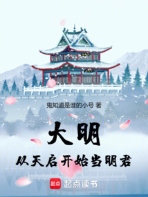 大明：從天啟開始當明君