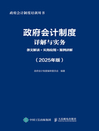 政府会计制度详解与实务：条文解读+实务应用+案例讲解（2025年版）在线阅读