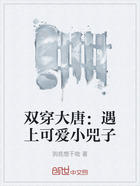 双穿大唐:遇上可爱小兕子在线阅读