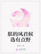 朕的凤君候选有点野在线阅读
