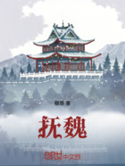 抚魏在线阅读