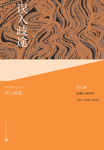 误入歧途