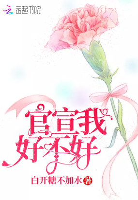 官宣我好不好在线阅读