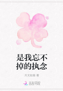是我忘不掉的执念