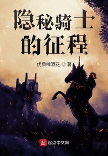 隱秘騎士的征程