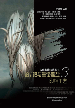 铂/钯与重铬酸盐印相工艺 封面