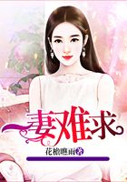一妻难求