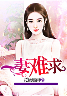 一妻难求
