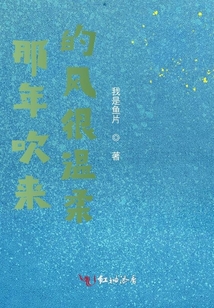 那年吹來的風很溫柔
