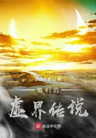 他們的虛界傳說在線閱讀