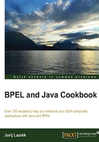 BPEL and Java Cookbook