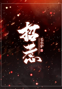 招惹