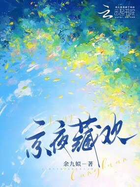 京夜藏欢在线阅读