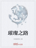 璀璨之路在线阅读