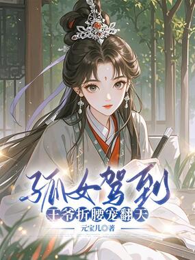 孤女驾到,王爷折腰宠翻天在线阅读