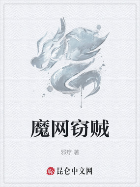 魔网窃贼在线阅读