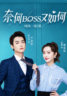 奈何BOSS又如何(宣璐、趙志偉主演)