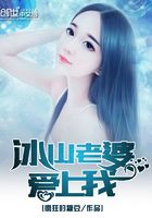 冰山老婆愛上我在線閱讀