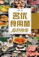 名优食用菌原色图鉴