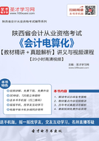 陕西省会计从业资格考试《会计电算化》【教材精讲＋真题解析】讲义与视频课程【20小时高清视频】在线阅读